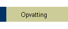 Opvatting